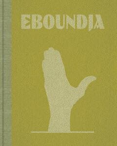Reinout van den Bergh 9783868289893 Reinout van den Bergh, Livres, Langue | Anglais, Envoi