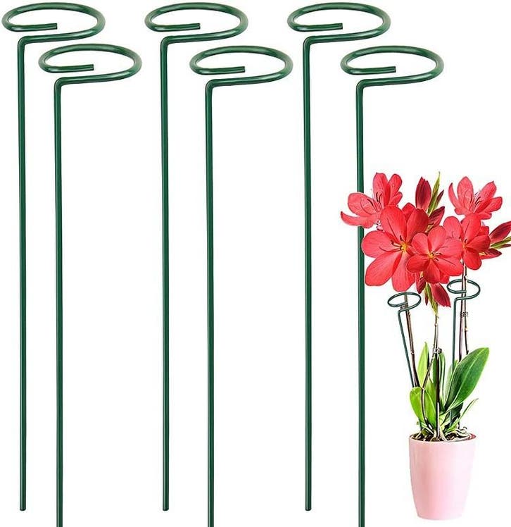 Plantensteun Plantenstok Voor Klimplanten Set 6, Verzamelen, Overige Verzamelen, Verzenden