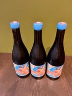 2020 Ange - Loire - 3 Bouteilles (0,75 L)