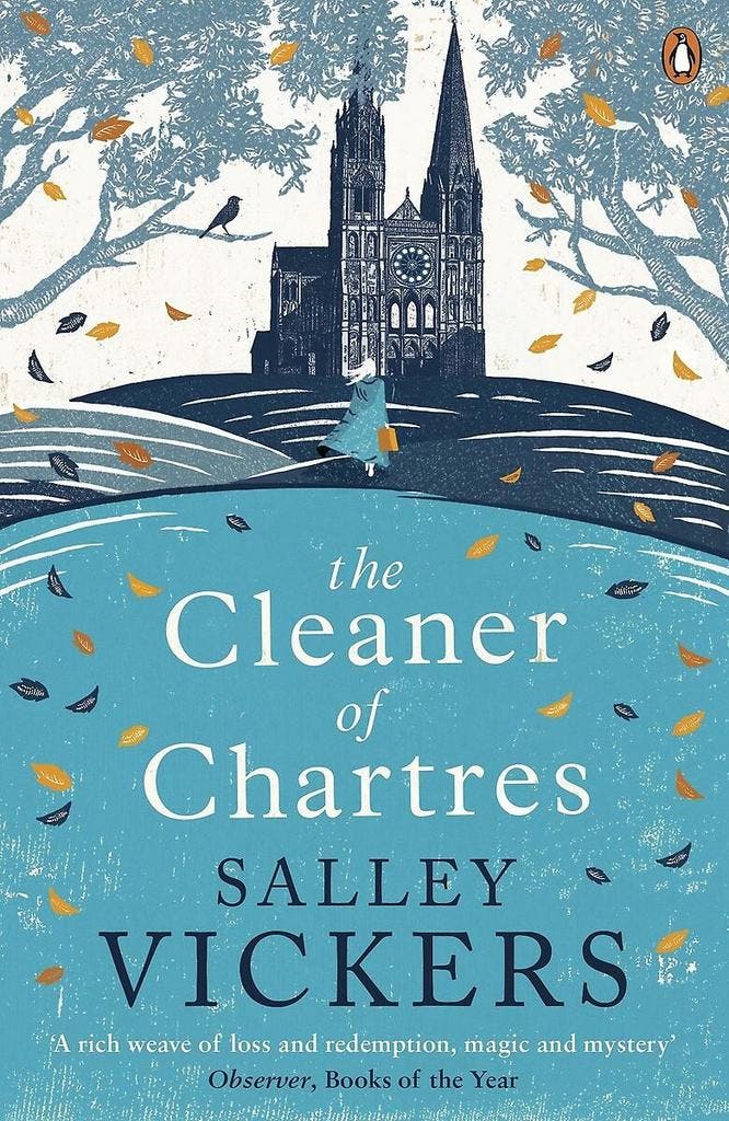 The Cleaner of Chartres 9780241981009 Salley Vickers, Boeken, Taal | Engels, Gelezen, Verzenden