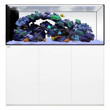 WaterBox PENINSULA 6025 Wit, Verzenden