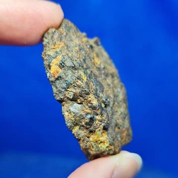 -endcut- PALLASITE meteoriet. SERICHO (Kenya, 2016)