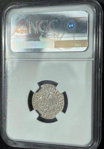 Polen, Litouwen. Sigismund II Augustus. 1/2 Grosz 1547 NGC