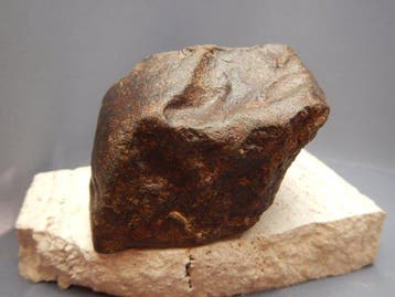 Chondrite Météorite de Chondrite - 437 g - (1)