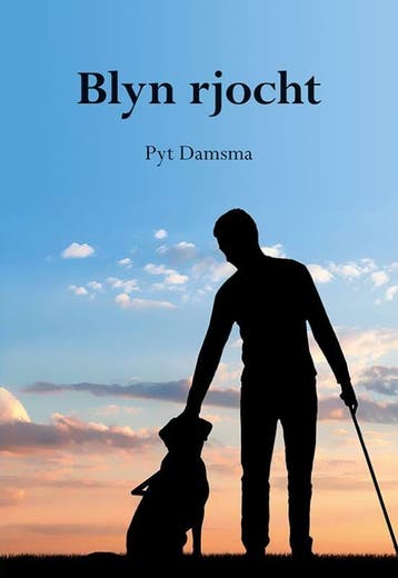 Blyn rjocht 9789463655286 Pyt Damsma, Verzenden, Gelezen, Pyt Damsma