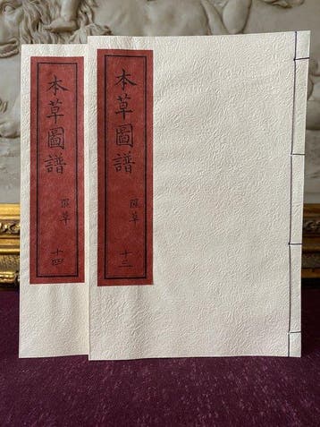 Tsunemasa Iwasaki - - Illustrated Compendium of