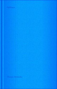 Helblauw 9789079202553 Thomas Meinecke, Boeken, Romans, Gelezen, Verzenden