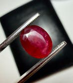 Rubis Vrai joyau! Magnifique rubis sang transparent et