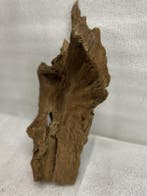 Am 693 Fine Sinkingwood 38x19x12 cm aquarium decoratie hout, Dieren en Toebehoren, Vissen | Aquaria en Toebehoren, Verzenden, Nieuw
