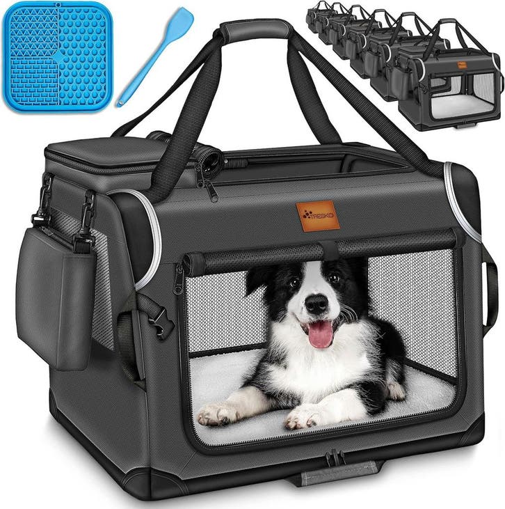 Reisbench hond - Draagtas hond - Transportbox - 50x34x34 cm, Dieren en Toebehoren, Transportboxen, Nieuw, Verzenden