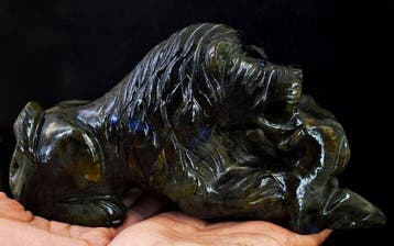 Beeld, Big Genuine Labradorite Hunting Lion Carving -, Collections, Minéraux & Fossiles