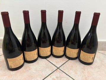 2023 Terlan, Pinot Nero - Trentin-Haut-Adige DOC - 6, Verzamelen, Nieuw