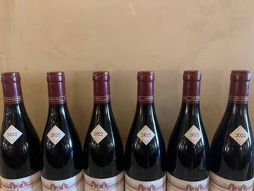 2022 Domaine Michel Gros Aux Brûlées - Vosne-Romanée 1er