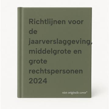Richtlijnen voor de jaarverslaggeving, middelgrote en grote, Boeken, Economie, Management en Marketing, Verzenden, Gelezen