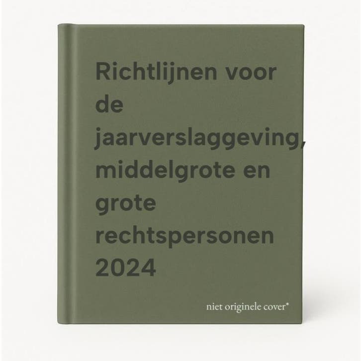 Richtlijnen voor de jaarverslaggeving, middelgrote en grote, Boeken, Economie, Management en Marketing, Gelezen, Verzenden