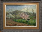 Antoni Vilà (1954) - Los árboles en flor