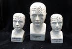 Parure de tête (3) - 3 stuks Model Phrenology Hoofd - Dr.