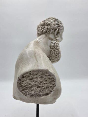 sculptuur, Busto dellercole farnese - 35 cm - marmerpoeder
