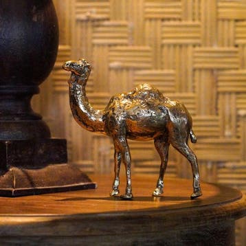 sculptuur, NO RESERVE PRICE - Bronze Polished Dromedary