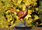 sculptuur, bronzen fazant koud geschilderd 32 cm breed - 19