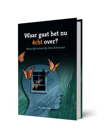 Waar gaat het nu echt over? 9789078876403 Hilde Bolt, Verzenden, Zo goed als nieuw, Hilde Bolt