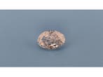 Veiling - Diamant oval 2.00 crt ( IGI gecertificeerd ), Nieuw