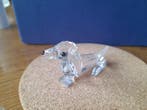 Swarovski - Figurine - Dachshund mini - 014388 - Box +
