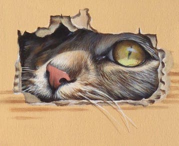 Gala - Cat, box painting ~Window~