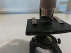 Microscope - 1920-1930 - Italie, Antiek en Kunst