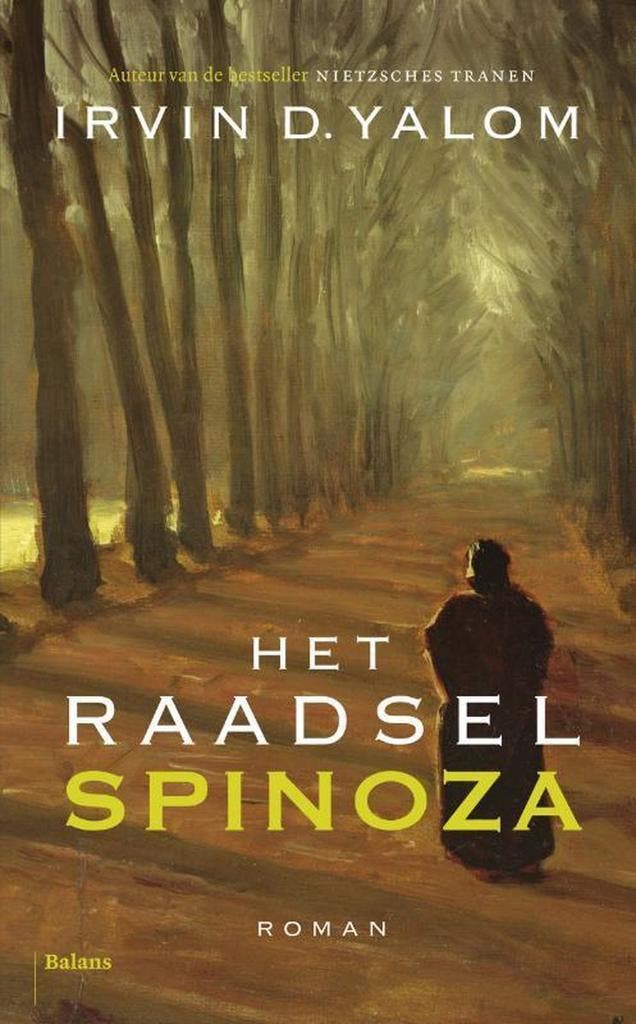 Het raadsel Spinoza 9789460033742 Irvin D. Yalom, Boeken, Romans, Gelezen, Verzenden