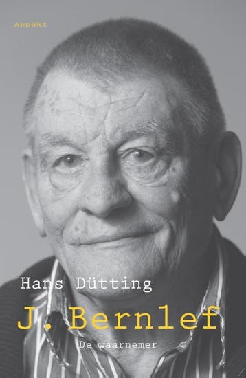 J. Bernlef 9789461535603 Hans Dütting, Verzenden, Gelezen, Hans Dütting