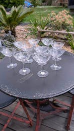 Champagne fluitje (12) - Kristal - Coupes St Louis/Manon