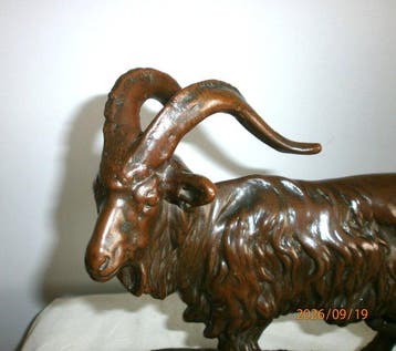 Maine - sculptuur, bouquetin - 20 cm - Zinklegering