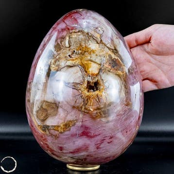 Monumentaal ei uit versteend hout met agaat - en, Verzamelen, Mineralen en Fossielen