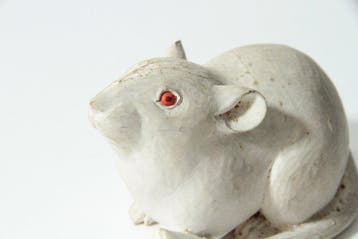 White Rat Sculpture by Tanaka Mondo (), Original Box and