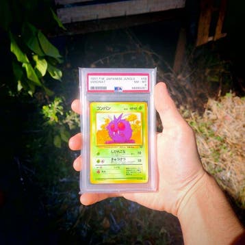 Pokémon - 1 Graded card - Venonat No.048 - PSA 8 - WOTC -, Nieuw