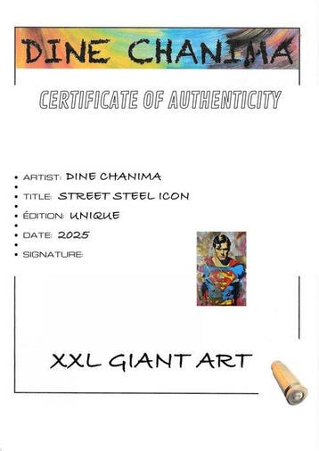 Dine Chanima (XX-XXI) - Street Steel Icon, Antiquités & Art