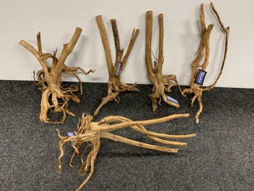 Boutique stump L 85-100cm (Natuurlijk hout), Ophalen of Verzenden, Nieuw, Plant(en), Steen of Hout