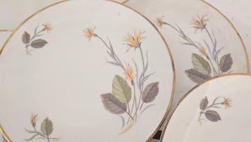 Bavaria Winterling - Service de table (8) - Porcelaine, Antiquités & Art