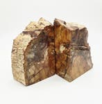 Versteend hout Boekensteun (zie filmpje), Ophalen of Verzenden, Nieuw