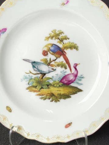 Meissen - Un antico piatto a motivo uccelli rari del XVIII