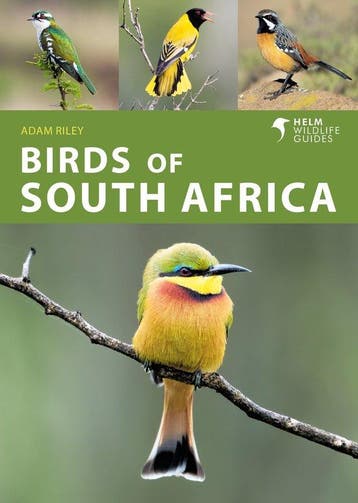 Helm Wildlife Guides- Birds of South Africa 9781472990808, Verzenden, Adam Riley