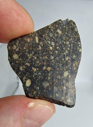 Meteoriet. LL3-type. NWA 17583, gewone chondriet. - 8.6 g