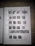 België 1940/1945 - Geïllustreerde catalogus van de, Gestempeld