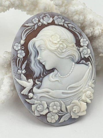 CASSIS MADAGASCARIENSIS - Cameo - Handgesneden camee, Handtassen en Accessoires