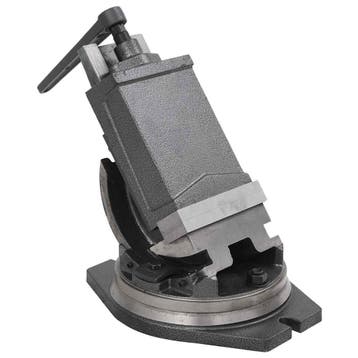 vidaXL Bankschroef met 2 assen kantelbaar 160 mm, Verzenden