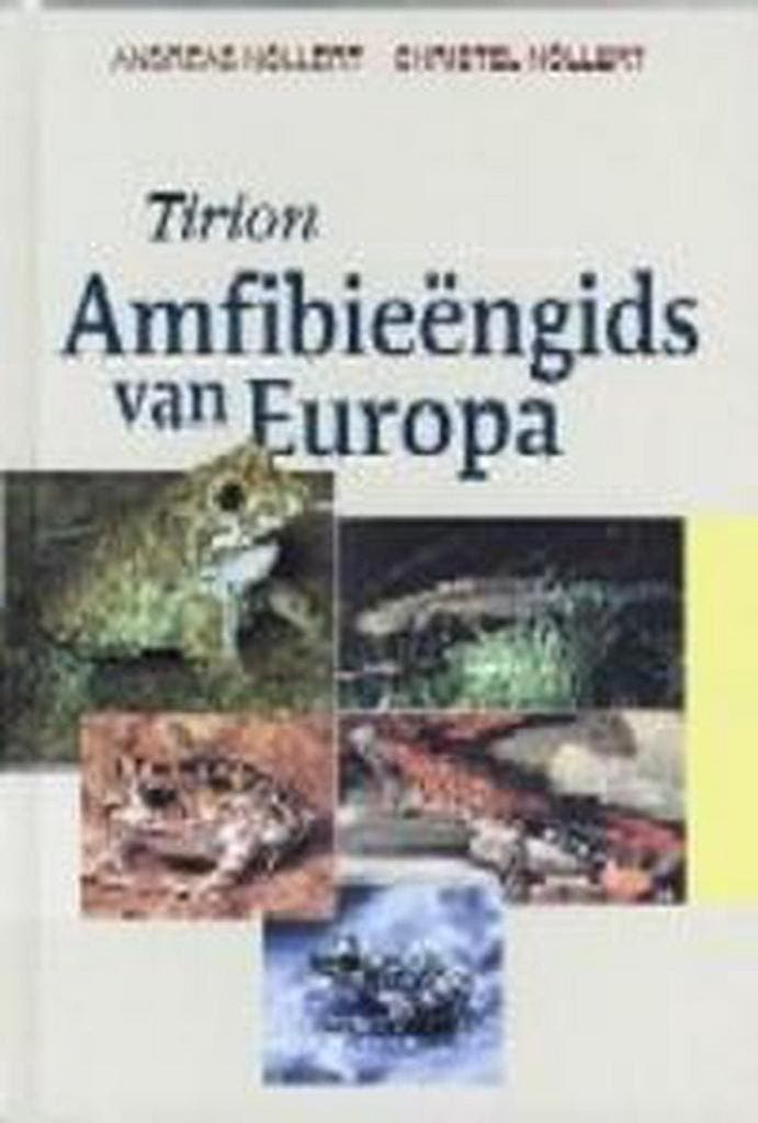 Amfibieengids van Europa 9789052104195 A. Nollert, Livres, Science, Envoi