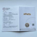 Trouwring - 14 karaat Geel goud - 1.10ct. tw. Saffier -