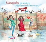 Scheetjesles / De bende van vier 9789025753245, Verzenden, Gelezen, Sunna Borghuis