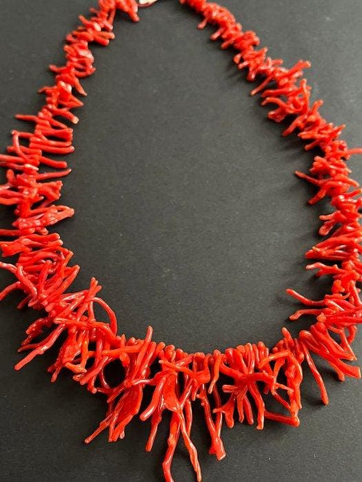 Bloedkoraal Koraal - corallium rubrum (Zonder minimumprijs), Antiek en Kunst, Curiosa en Brocante